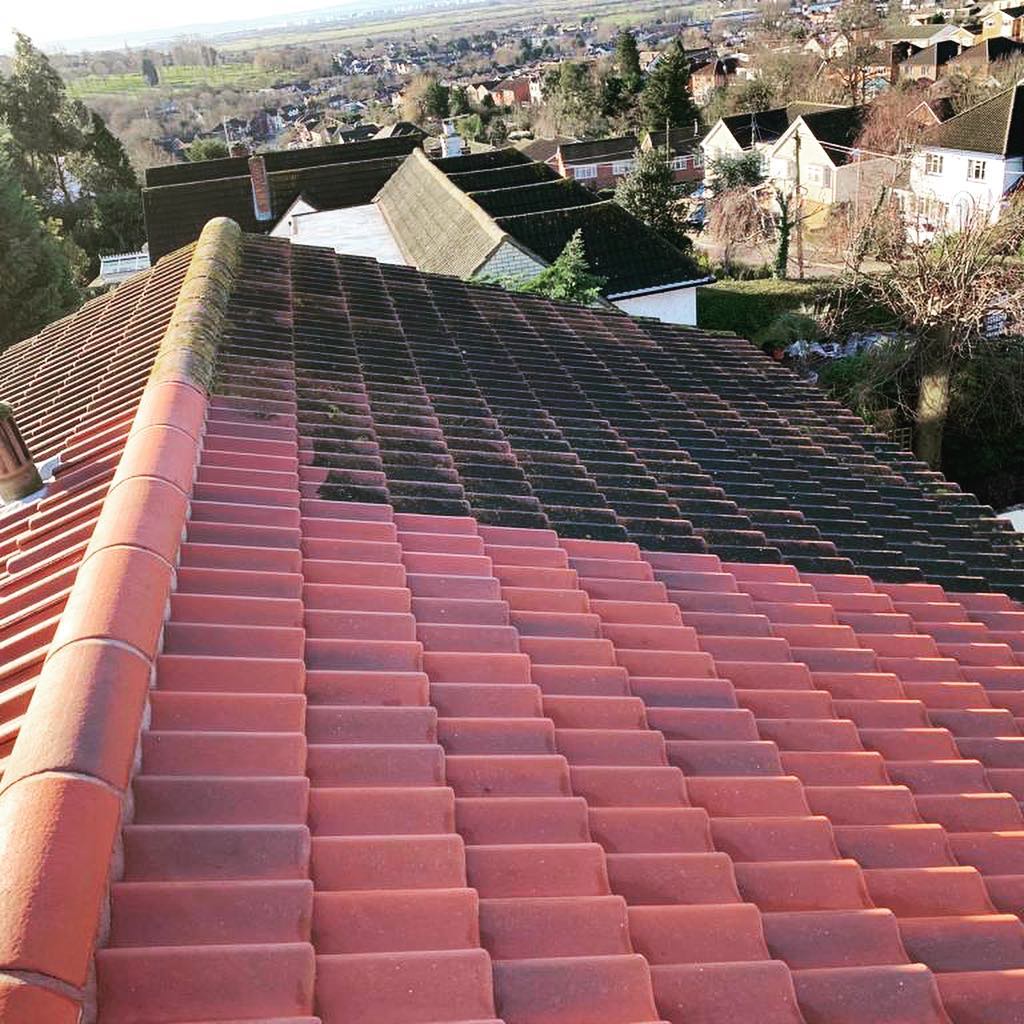 Professional Roof Cleaning
